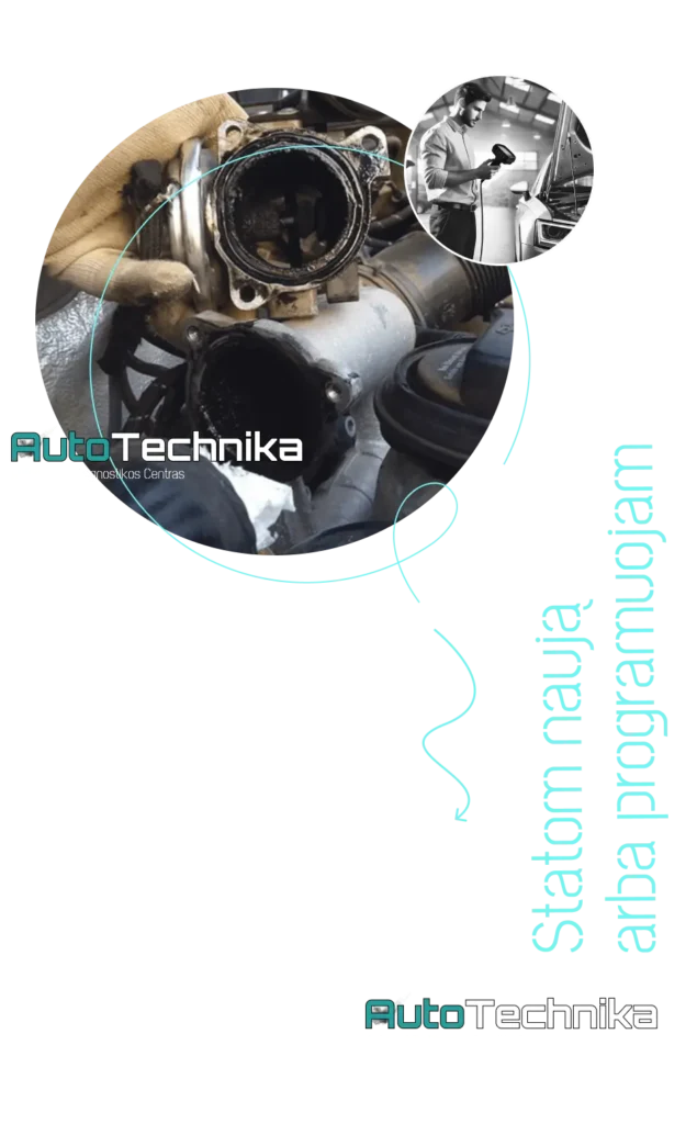 egv voztuvo isprogramavimas kaunas